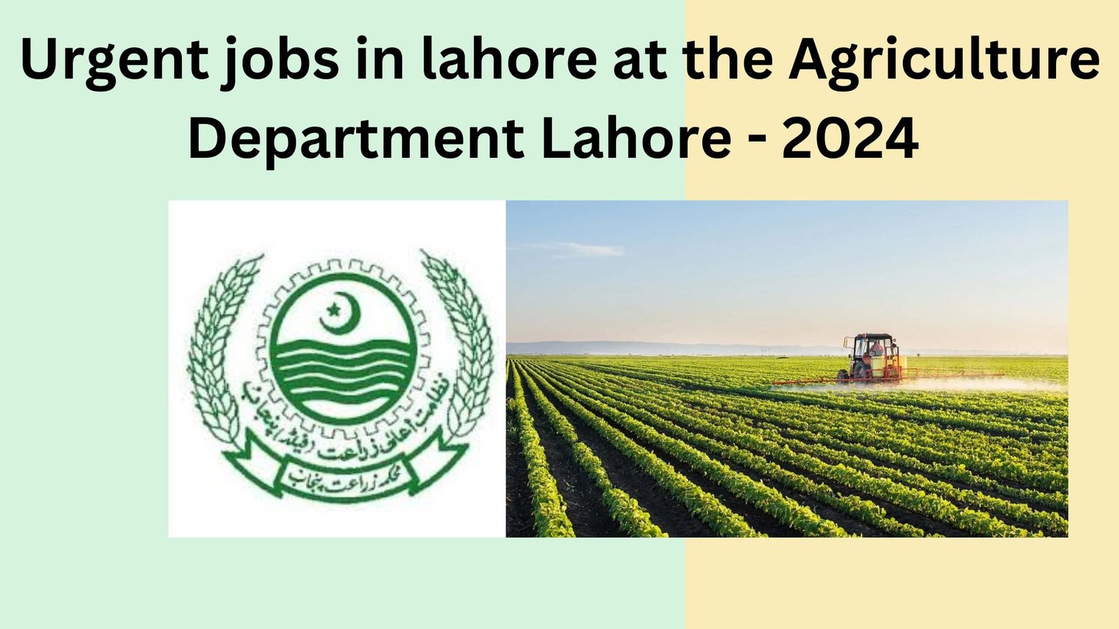 Urgent jobs in lahore at the agri agriculture department