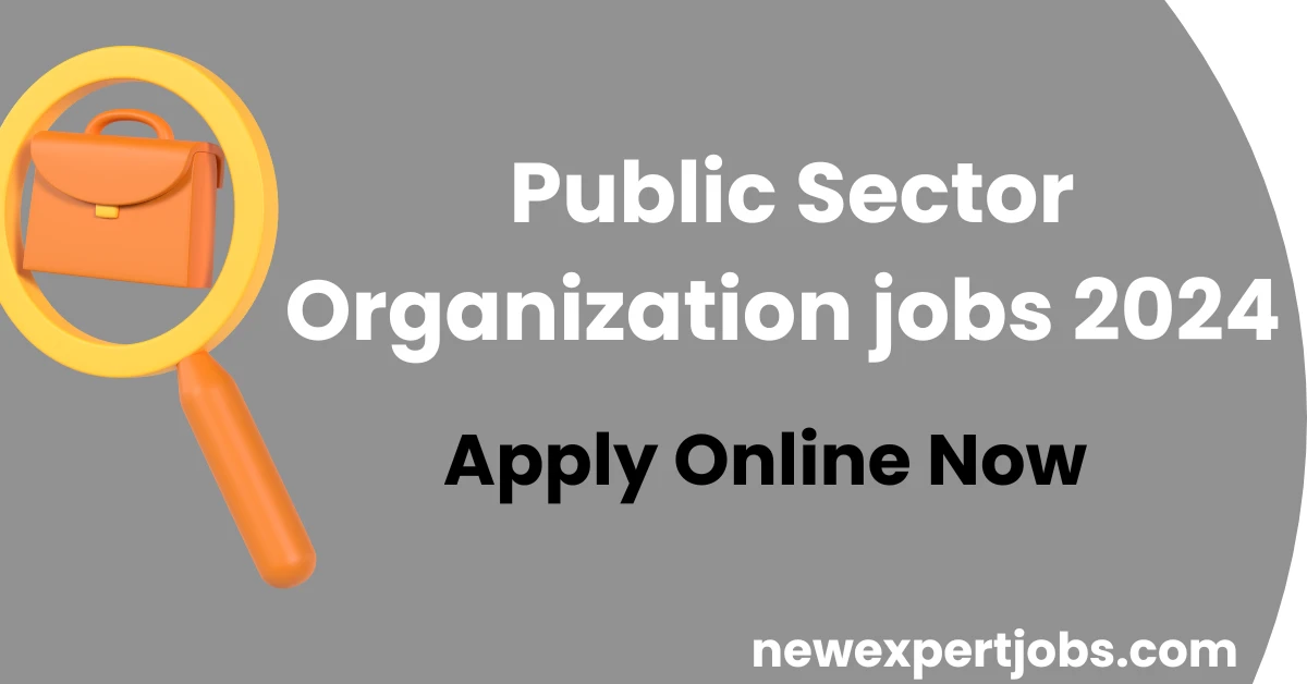 Public Sector Organization jobs