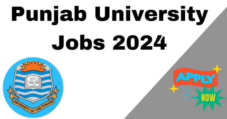 Punjab University Jobs 2024