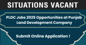 PLDC Jobs 2025 Opportunities